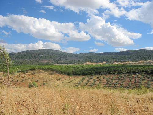 Panor&aacute;mica 5