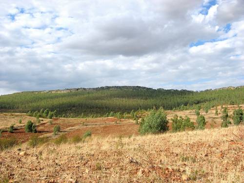 Panor&aacute;mica 3