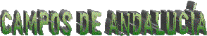campos de andaluc&iacute;a