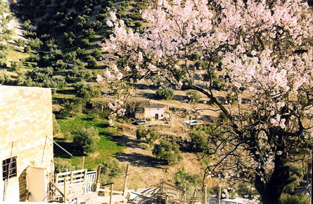 cortijo5.jpg