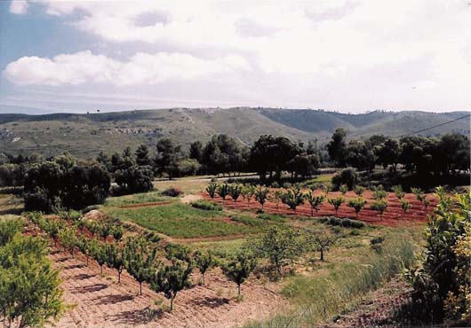 detallesfinca1.jpg