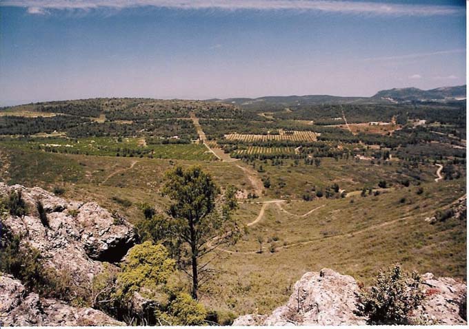 panoramica1.jpg