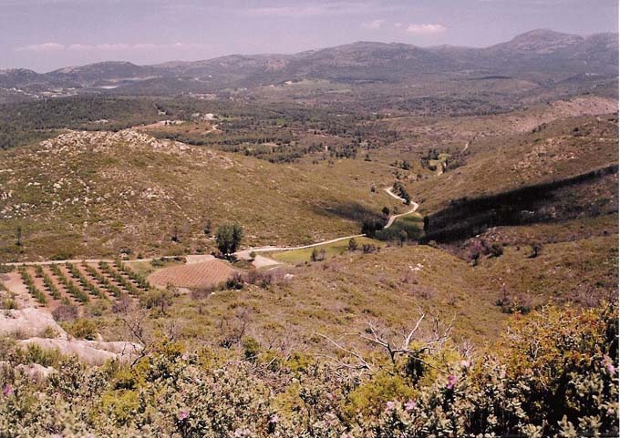 panoramica2.jpg