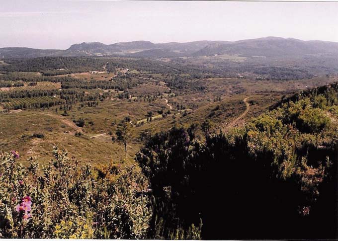 panoramica3.jpg
