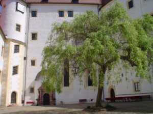 Courtyard_view