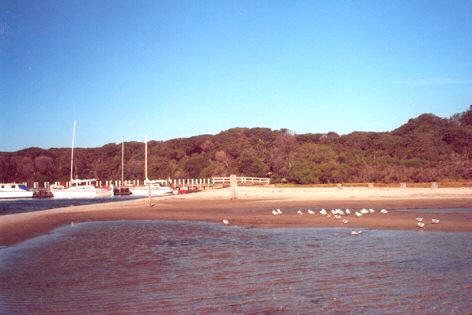 Bunga Arm anchorage amongst the wildlife