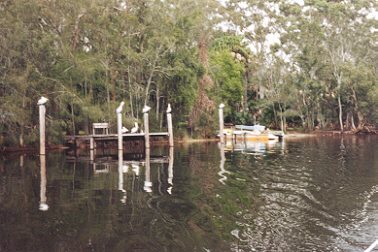Myall River at Tamboy