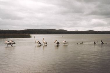 The Myall River entrance, Tamboy