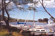 overnighting on the Tambo River 