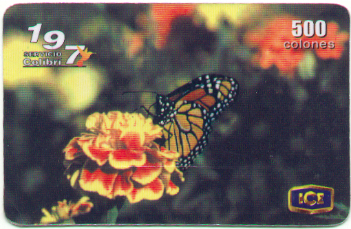 Colecci�n Fauna de Costa Rica No.8 