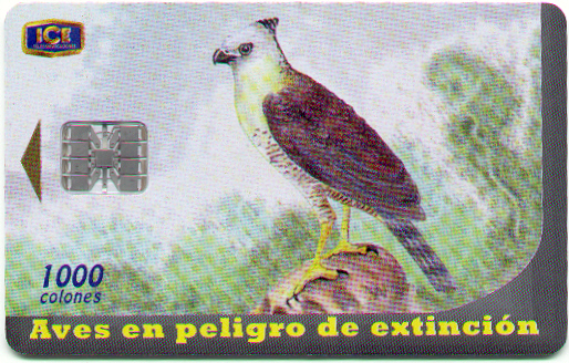 Colecci�n: Aves en peligro de extinci�n No. 1