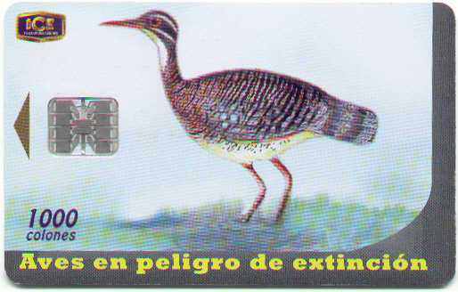 Colecci�n Aves en Peligro de Extinci�n No.4