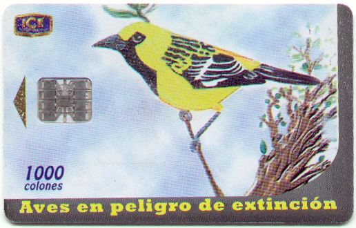 Colecci�n: Aves en peligro de Extinci�n No.2