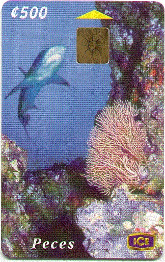 Colecci�n Peces No.4