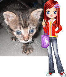 Escr�bele a floricienta