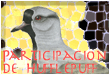 Participaci�n de Hufflepuff