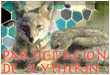 Participaci�n de Slytherin