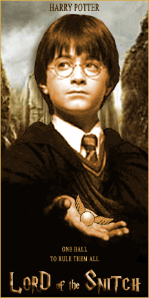 Lord of the Snitch - El Se&ntilde;or de la Snitch