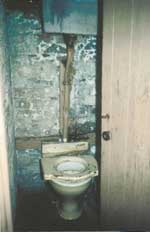 Bog