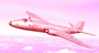 Pink Canberra