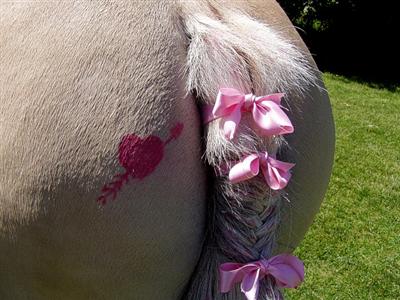 A Horse's Butt