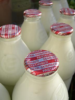 Milk