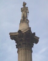 Nelson