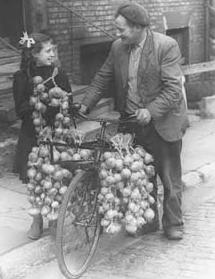 Onion Seller