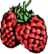 Raspberry