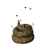 Shit