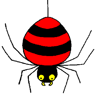 spider