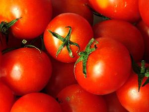 Tomatoes