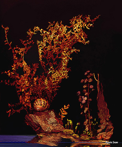 Dead Ferns, Bark, Snail Shell, Moss, Stone, Seed heads