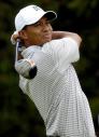 Tiger's swing