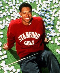 Tiger sitting down