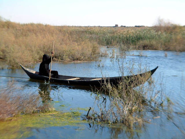 Boater in the Marshes, Iraq