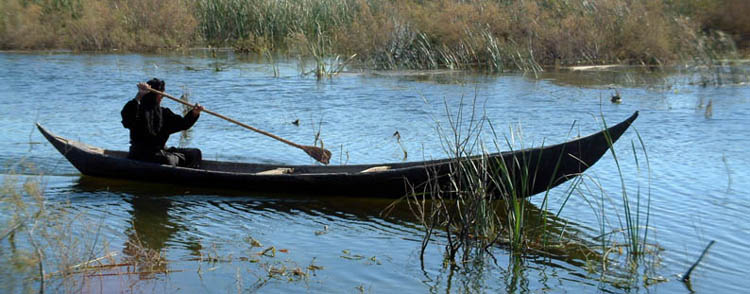 Boater in the Marshes, Iraq