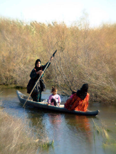 Boater in the Marshes, Iraq