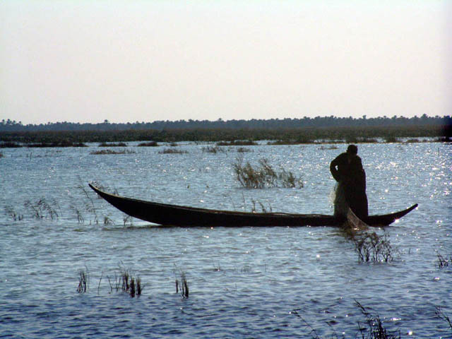 Boater in the Marshes, Iraq