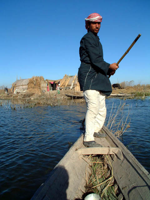 Boater in the Marshes, Iraq