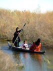 Boater in the Marshes