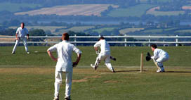 Cricket