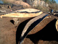 Boats, Huwair, Marshes, Iraq
