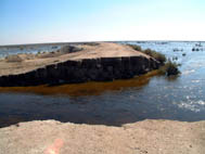 Broken Hulk, Euphrates