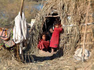 Marsh Arab girls