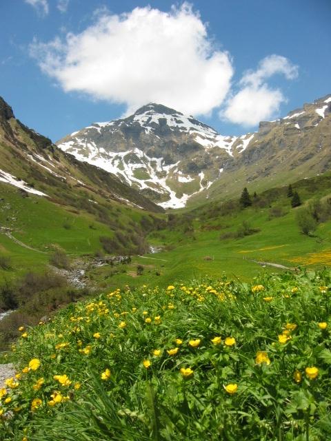The Swiss Alps