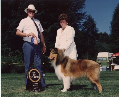 "Fraser" Ch.Tricountys Playboy At Colinton