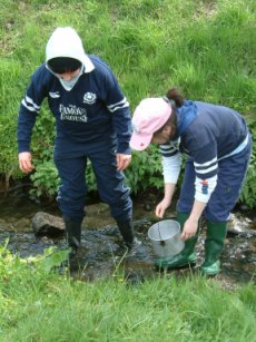 water carrying
