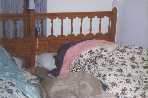 esl�pin
