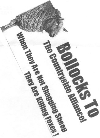 Bollocks Cutting (Mitch 2005)